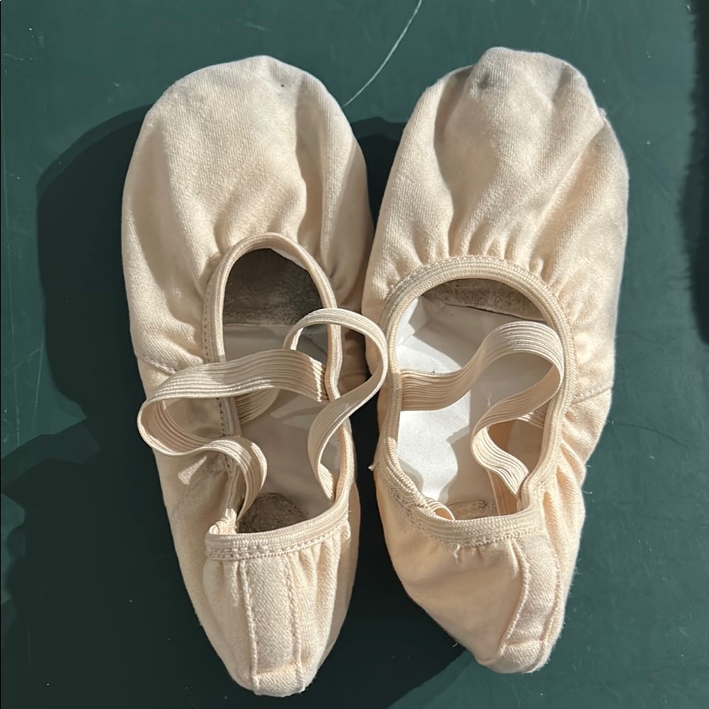 Capezio Ballet Slipper